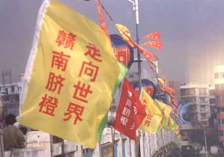 &#27431;&#23453;&#23448;&#26041;&#119;&#101;&#98;&#31449;&#45;&#79;&#112;&#101;&#108;&#32;&#111;&#98;&#40;&#20013;&#22269;&#41;